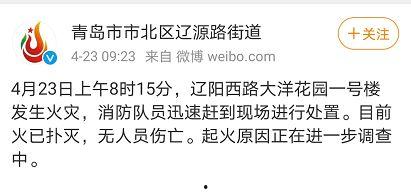 最新辽阳爆料消息,揭秘事件背后真相