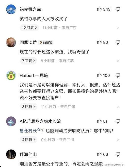 爆料博主被撞视频大全最新,全网热议