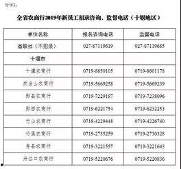 农商银行新爆料公告最新,揭秘最新公告背后的金融风云”