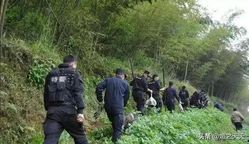 耒阳网上爆料事件最新,真相与舆论的交织