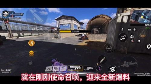 使命召唤最新爆料冰龙,冰龙崛起——揭秘极寒之地的新篇章