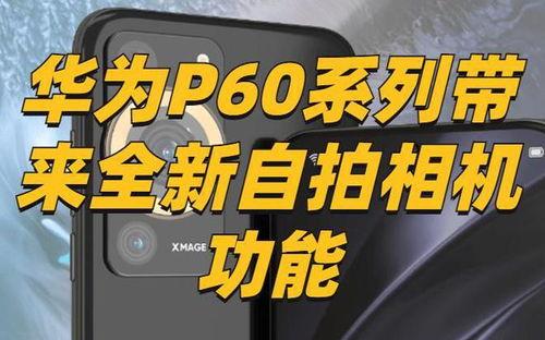 p60 最新爆料,揭秘全新功能与升级亮点